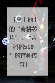 黑土地上的“春耕芯片”：“吉科稻518”的育种传奇