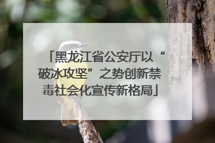 黑龙江省公安厅以“破冰攻坚”之势创新禁毒社会化宣传新格局