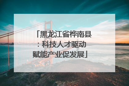黑龙江省桦南县：科技人才驱动 赋能产业促发展