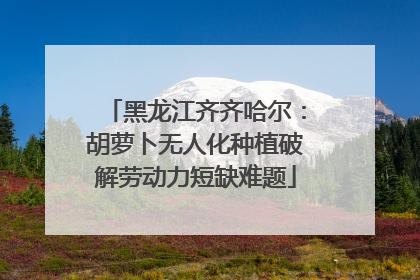 黑龙江齐齐哈尔：胡萝卜无人化种植破解劳动力短缺难题