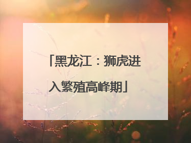 黑龙江：狮虎进入繁殖高峰期