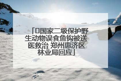 ﻿国家二级保护野生动物误食鱼钩被送医救治 郑州惠济区林业局回应