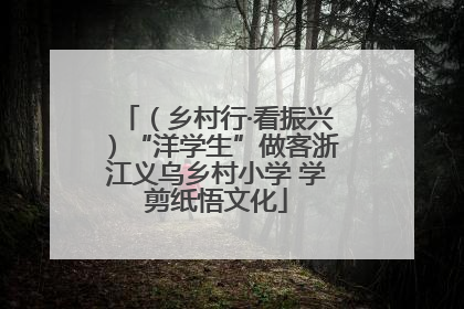 （乡村行·看振兴）“洋学生”做客浙江义乌乡村小学 学剪纸悟文化