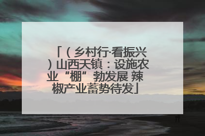 （乡村行·看振兴）山西天镇：设施农业“棚”勃发展 辣椒产业蓄势待发