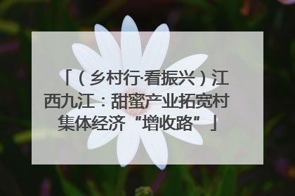 （乡村行·看振兴）江西九江：甜蜜产业拓宽村集体经济“增收路”