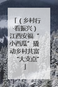 （乡村行·看振兴）江西安福“小西瓜”撬动乡村共富“大支点”