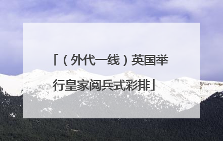 （外代一线）英国举行皇家阅兵式彩排