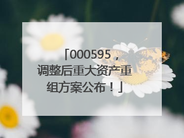 000595，调整后重大资产重组方案公布！