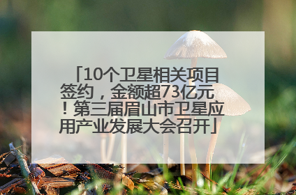 10个卫星相关项目签约，金额超73亿元！第三届眉山市卫星应用产业发展大会召开