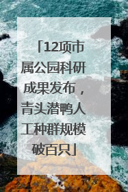 12项市属公园科研成果发布，青头潜鸭人工种群规模破百只