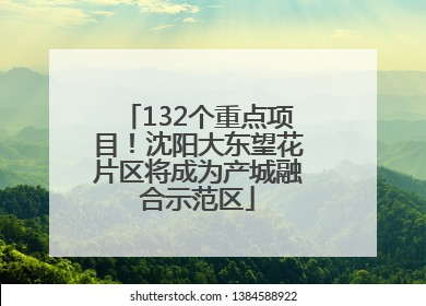132个重点项目！沈阳大东望花片区将成为产城融合示范区