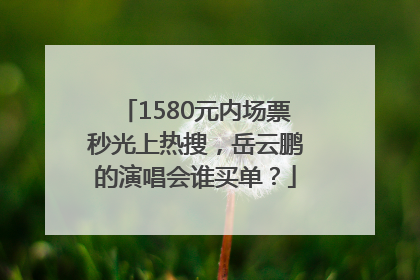 1580元内场票秒光上热搜，岳云鹏的演唱会谁买单？