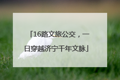 16路文旅公交，一日穿越济宁千年文脉