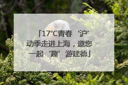 17℃青春‘沪’动季走进上海，邀您一起‘趣’游建德