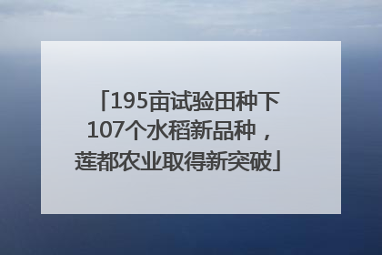 195亩试验田种下107个水稻新品种，莲都农业取得新突破