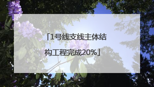 1号线支线主体结构工程完成20%