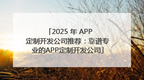 2025 年 APP 定制开发公司推荐：靠谱专业的APP定制开发公司