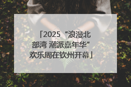 2025“浪漫北部湾 潮派嘉年华”欢乐周在钦州开幕