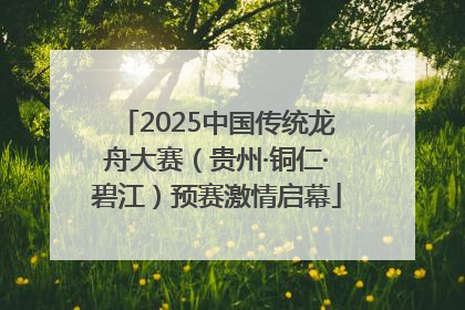 2025中国传统龙舟大赛（贵州·铜仁·碧江）预赛激情启幕