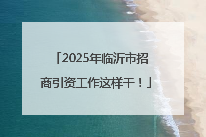 2025年临沂市招商引资工作这样干！