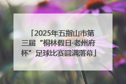 2025年五指山市第三届“桐林假日·老州府杯”足球比赛圆满落幕