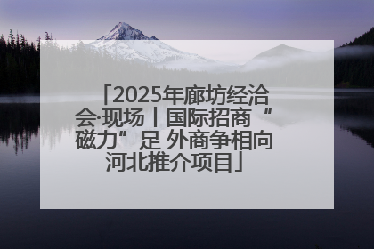 2025年廊坊经洽会·现场丨国际招商“磁力”足 外商争相向河北推介项目