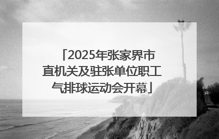 2025年张家界市直机关及驻张单位职工气排球运动会开幕