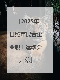 2025年日照市民营企业职工运动会开幕