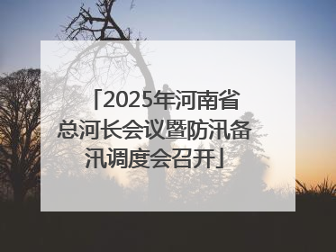 2025年河南省总河长会议暨防汛备汛调度会召开