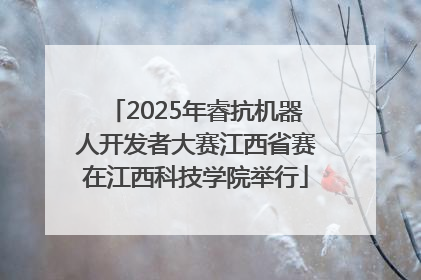 2025年睿抗机器人开发者大赛江西省赛在江西科技学院举行