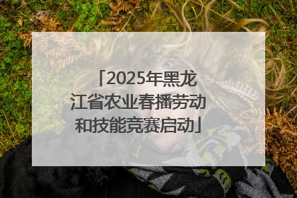2025年黑龙江省农业春播劳动和技能竞赛启动