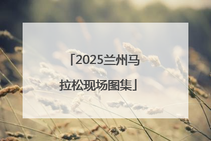 2025兰州马拉松现场图集