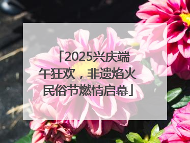 2025兴庆端午狂欢，非遗焰火民俗节燃情启幕