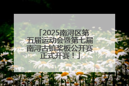 2025南浔区第五届运动会暨第七届南浔古镇桨板公开赛正式开赛！