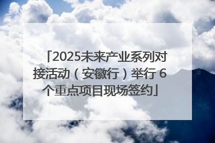 2025未来产业系列对接活动（安徽行）举行 6个重点项目现场签约