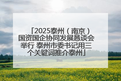 2025泰州（南京）国资国企协同发展恳谈会举行 泰州市委书记用三个关键词推介泰州