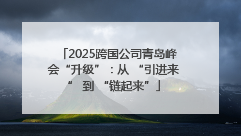 2025跨国公司青岛峰会“升级”：从 “引进来” 到 “链起来”