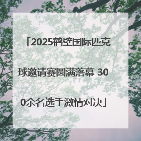 2025鹤壁国际匹克球邀请赛圆满落幕 300余名选手激情对决