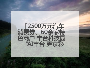 2500万元汽车消费券、60余家特色商户 丰台科技园“AI丰台 更京彩”未来玩家市集活动正式开幕