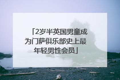 2岁半英国男童成为门萨俱乐部史上最年轻男性会员