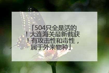 504只全是活的！大连海关最新截获！有攻击性和毒性，属于外来物种