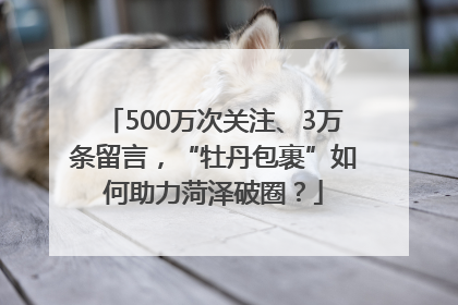 500万次关注、3万条留言，“牡丹包裹”如何助力菏泽破圈？