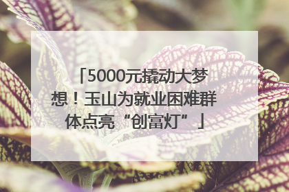 5000元撬动大梦想！玉山为就业困难群体点亮“创富灯”