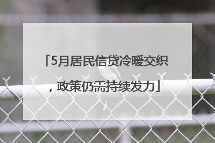 5月居民信贷冷暖交织，政策仍需持续发力
