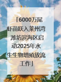 6000万尾虾苗跃入莱州湾 潍坊滨海区启动2025年水生生物增殖放流工作