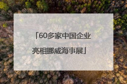 60多家中国企业亮相挪威海事展