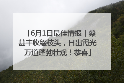 6月1日最佳情报｜桑葚丰收缀枝头，日出霞光万道蓬勃壮观！恭喜
