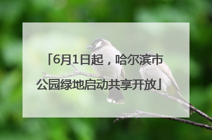 6月1日起，哈尔滨市公园绿地启动共享开放