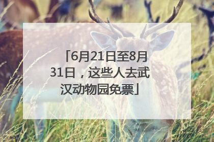 6月21日至8月31日，这些人去武汉动物园免票