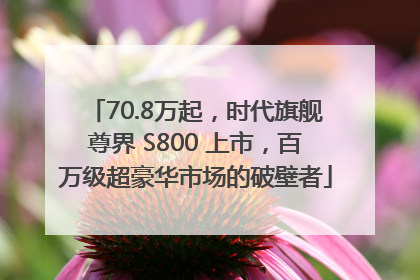 70.8万起，时代旗舰尊界 S800 上市，百万级超豪华市场的破壁者